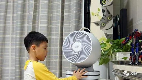 柔風送爽，清涼一夏 利維斯頓空氣循環扇體驗分享